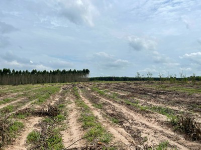 Bán 2014m2 đất 2 tân bình, thị xã lagi giá rẻ nhất chỉ 900 triệu sổ riêng 2