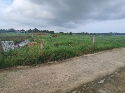 Bán 7m x 21m đất ont lô 2 lý thái tổ - tân tiến - tx lagi giá mềm 700 triệu 0