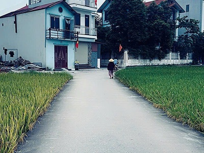 Bán đất đẹp - phúc thọ mai lâm đông anh dt 50m  - chỉ 119tr/1m2 .mặt bìa làng ô tô ngủ trong đất 3