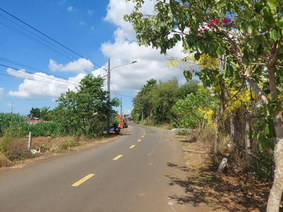 Chính chủ cần bán đất tặng nhà cấp 4 tại long tân  - h. đất đỏ - bà rịa vũng tàu. 3