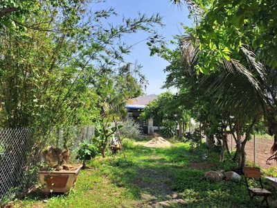 Chính chủ cần bán đất tặng nhà cấp 4 tại long tân  - h. đất đỏ - bà rịa vũng tàu. 1