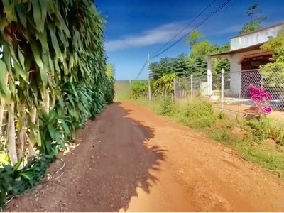 Bán lô đất mặt tiền 10.000m2 thôn tân lực, bù nho, phú riềng, bình phước, 4