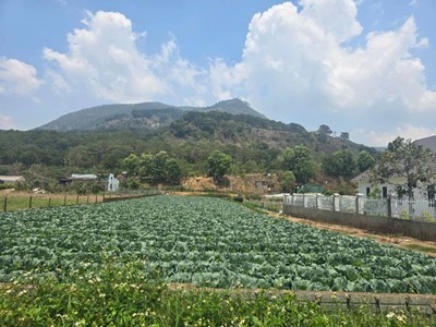 Bán 2 lô đất hẻm quốc lô 20, hiệp an đức trọng 1