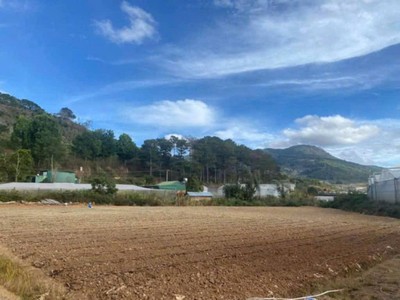 Bán 2 lô đất hẻm quốc lô 20, hiệp an đức trọng 2