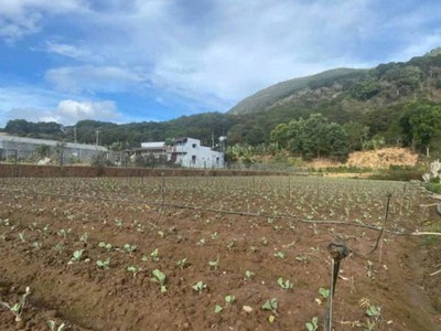 Bán 2 lô đất hẻm quốc lô 20, hiệp an đức trọng 3