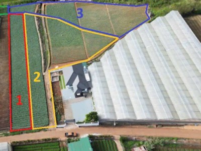 Bán 2 lô đất hẻm quốc lô 20, hiệp an đức trọng 4