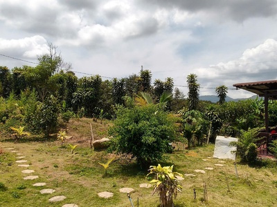 Bán đất tại Quốc Lộ 55, 690 triệu, 250m2, Bảo Lâm, Lâm Đồng 3