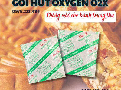 Gói hút ẩm thực phẩm bảo quản bánh trung thu 1