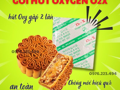 Gói hút oxygen bảo quản thực phẩm 3