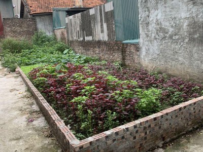 Đất đẹp đức thượng 55m chỉ 2,9 tỷ - nhỏ tiền dễ chốt - hiếm trong tầm giá - 15m ô tô tải đỗ cửa. 4