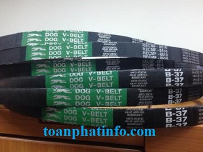 Dây Curoa Toàn Phát   Hiệu Suất Truyền Động Tối Ưu 2