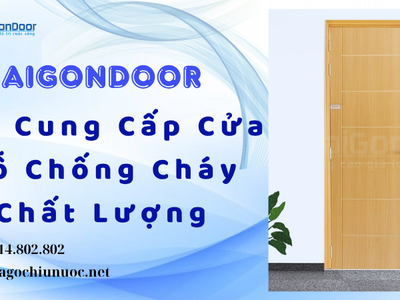 Saigondoor Nơi Cung Cấp Cửa Gỗ Chống Cháy Chất Lượng 2