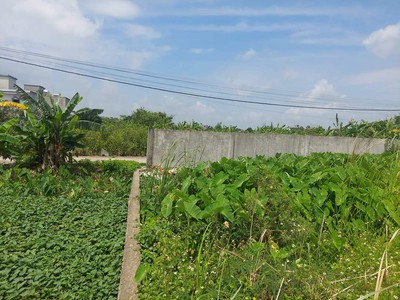 Bán lô đất hiếm   đầu tư sinh lời cao   phú hữu, tp. thủ đức 1