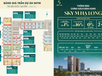Bán chung cư 1pn, 1wc tại hoàng quốc việt, 1,7 tỷ, 38,8m2, view  vịnh di sản hạ long 4