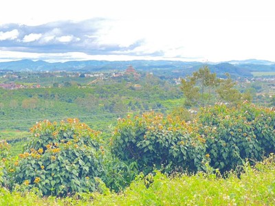 1ha đất thiện chí, ninh gia đức trọng, Lâm Đồng 0