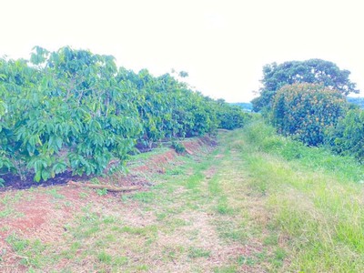 1ha đất thiện chí, ninh gia đức trọng, Lâm Đồng 1