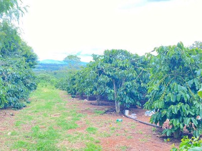 1ha đất thiện chí, ninh gia đức trọng, Lâm Đồng 4
