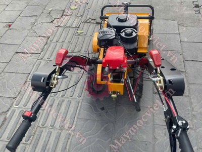 Máy xới đất, cắt cỏ 4 thì TBD170 giá rẻ 3