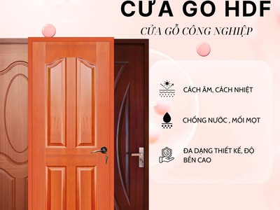  Cửa gỗ HDF   Bền đẹp, cách âm hiệu quả 0