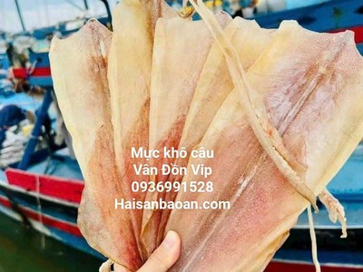 Nơi bán mực câu khô vip ngon tuyển chọn 0