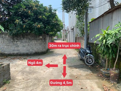 467m thủy xuân tiên chương mỹ 1