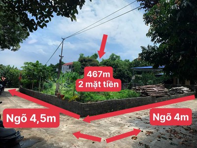 467m thủy xuân tiên chương mỹ 2