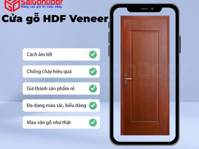 Cửa gỗ HDF veneer 3
