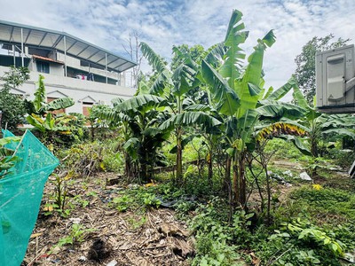 Bán  lô đất full thổ cư, 350m2, mt15m,  23 tỷ  ngọc thụy long biên, view sông 3