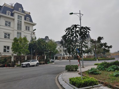 Bán biệt thự shophouse nv3 mặt đường 31m tại kđt lideco 4