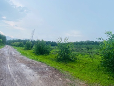 Bán ddaa50m x 50m đất thổ cư tân hà, hàm tân giá rẻ 45tr/m ngang 2