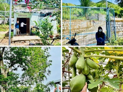 Bán nhà vườn cách biển nha trang 5km, cách ql1a vài chục mét.  sổ hồng 1.524m2 quy hoạch full 0