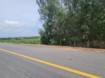 Bán 9.3 sào đất mặt tiền lương định của, tân bình, lagi chỉ 100tr/m ngang shr 4