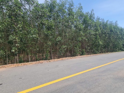 Bán 9.3 sào đất mặt tiền lương định của, tân bình, lagi chỉ 100tr/m ngang shr 3