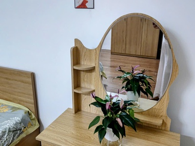 Cho thuê gấp căn hộ khép kín có đủ đồ - hàm long - trung tâm hà nội 1
