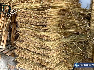 Nơi bán cây cỏ tranh lợp nhà giá rẻ tại TPHCM 1