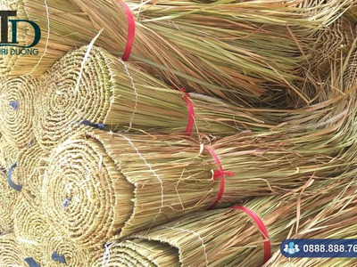 Nơi bán cây cỏ tranh lợp nhà giá rẻ tại TPHCM 0