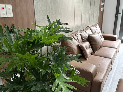 Bán nhà 3 tầng ngõ phố An Ninh, ph Quang Trung, TP HD, 42.6m2, 3 ngủ, 2 vs, 2.3x tỷ 1
