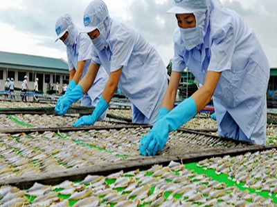Lưới nhựa phơi nông sản và hải sản TPHCM 0