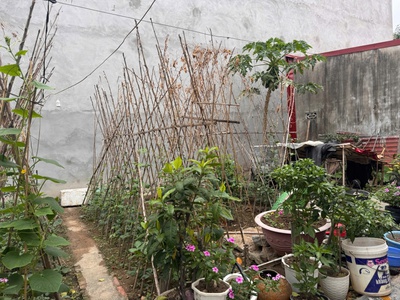 Bán nhà Độc lập 50m 3 tầng Đường Thiên Lôi. Ôtô đỗ gần 3