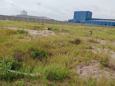 Cho thuê đất, nhà xưởng tại Ngọc Long. Yên Mỹ. Hưng Yên 2