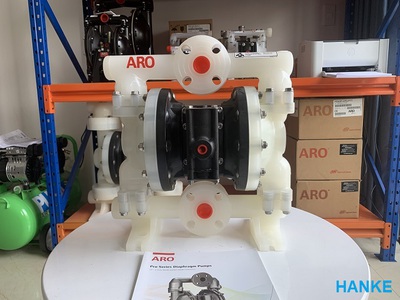 Máy bơm màng mini ARO PD10P-YPS-PTT 0