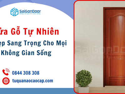 Cửa Gỗ Tự Nhiên   Vẻ Đẹp Sang Trọng Cho Mọi Không Gian Sống 3