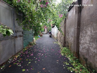 Không có lô nào rẻ hơn ạ. đất bắc hồng, 180m2, mt8.7m, 8.4 tỷ, đông anh. 4