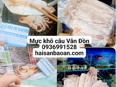Nơi bán mực câu khô vip ngon toàn quốc 0