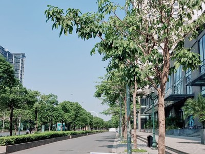 Mở đường sang lotte mall - bán shop udic westlake đối diện. dt 304m2 - giá 35 tỷ 1
