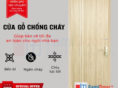 Cửa gỗ chống cháy 1