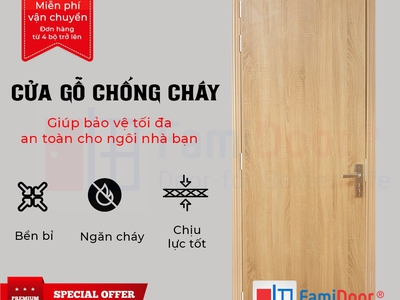 Cửa gỗ chống cháy 3