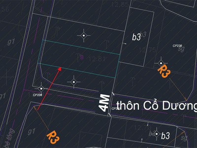 Cơ hội đầu tư sinh lời tại tiên dương -  đông anh   đất nền đẹp giá tốt 2