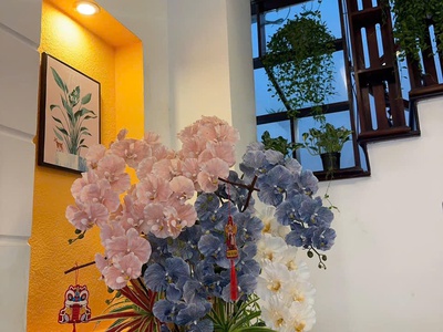 Sang và cho thuê homestay sân vườn hẻm mai hắc đế, p6, đà lạt - 5pn, full nt, gpkd, pccc 2