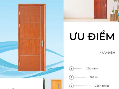 Cửa gỗ MDF Veneer 3